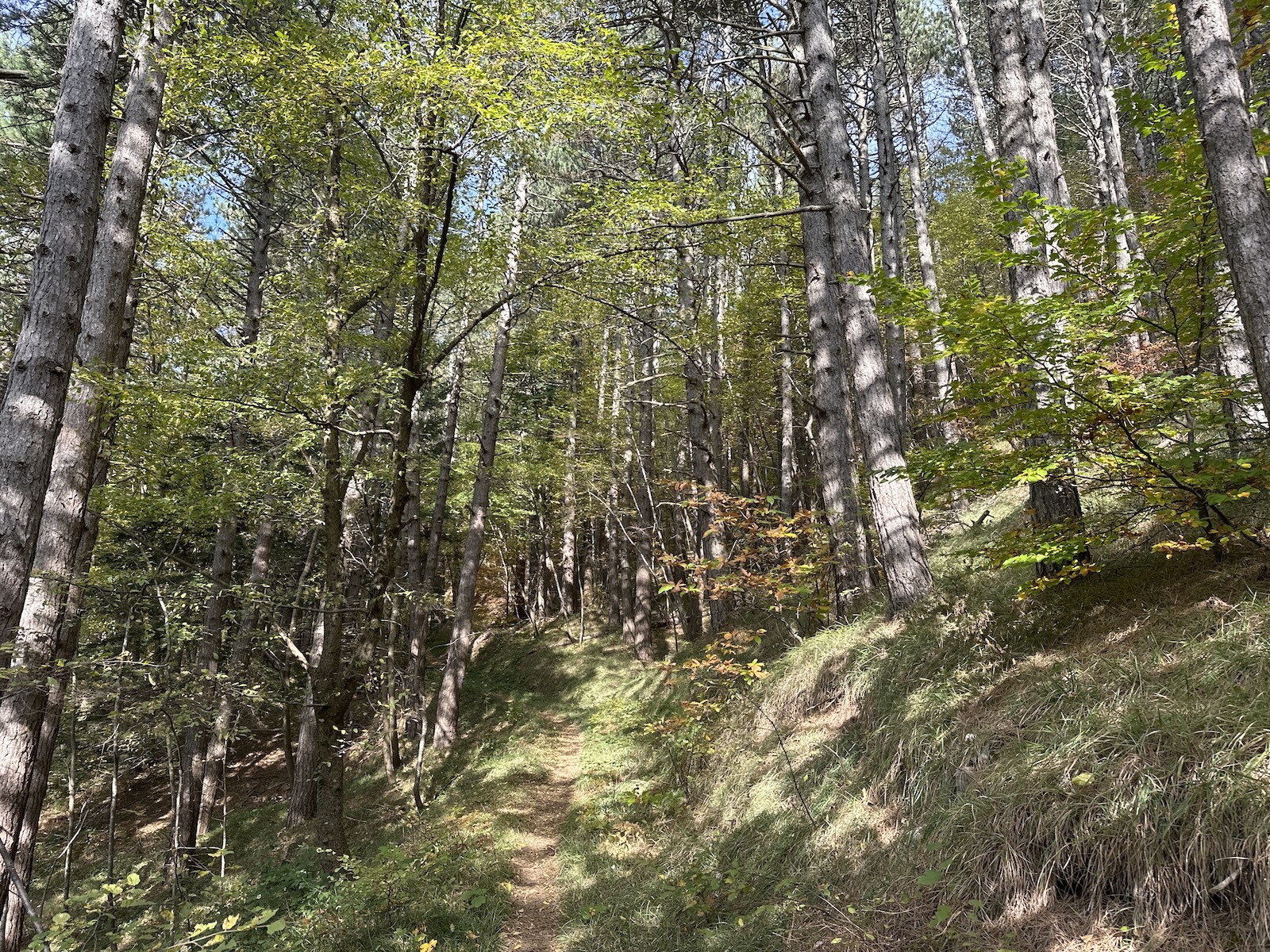 From Corniolo to Passo Braccina