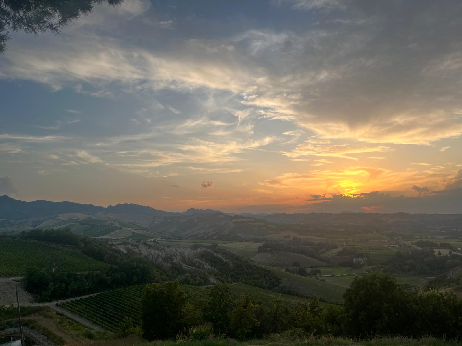 Hills of Romagna at sunset