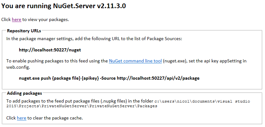 NuGet server up and running