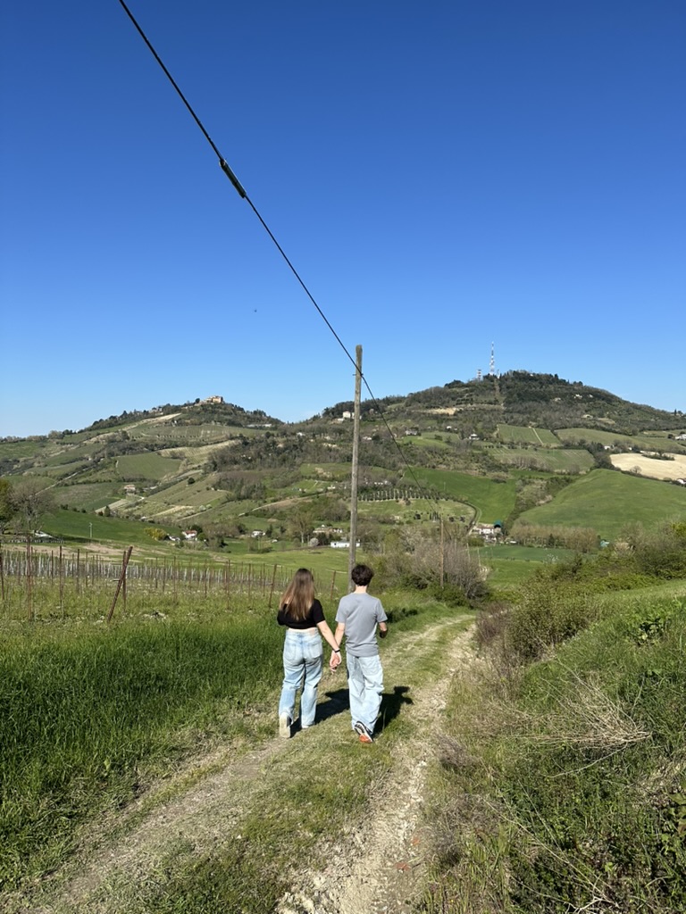 With some effort, one can spot the medieval village of Bertinoro emerging from the hilltop on the left.